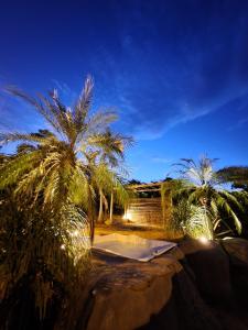 a resort with palm trees and a pool at night at Eco Resort Serra Imperial in São Pedro da Serra