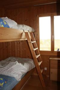 Haus am Seeufer mit Veranda in natürlicher Umgebung في غوتنغن: سرير بطابقين في غرفة خشبية مع سلم