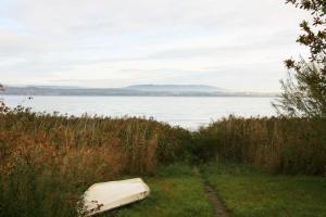 a boat sitting in the grass next to a body of water at Haus am Seeufer mit Veranda in natürlicher Umgebung in Güttingen +1 photo