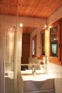 ein Bad mit einem Waschbecken, einem Spiegel und einer Dusche in der Unterkunft Haus am Seeufer mit Veranda in natürlicher Umgebung in Güttingen