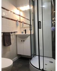 a bathroom with a shower and a sink and a toilet at Holiday Home 'Beautifull Water' in Lanaken