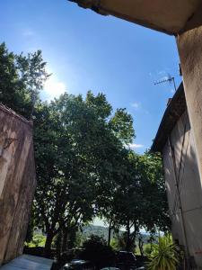 - une vue depuis un bâtiment avec des arbres en arrière-plan dans l'établissement Les suites de charme du Portalet, à Uzès