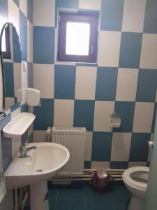 Koupelna v ubytování Apartamente Ambrus Praid + 29 fotografií