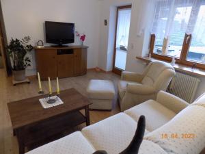 sala de estar con sofá y TV en Ferienwohnung Bohnert-Arias en Bad Peterstal-Griesbach