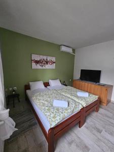 1 dormitorio con 1 cama grande y TV de pantalla plana en Studio apartman Dora, en Ilok