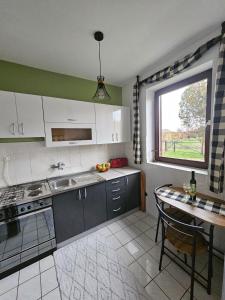 a kitchen with a sink and a table and a window at Studio apartman Dora in Ilok