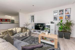 Televízia a/alebo spoločenská miestnosť v ubytovaní Apartments Mladen