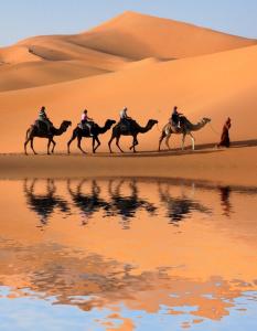 a group of people riding horses in the desert at Authentic Luxury Camp in Merzouga
