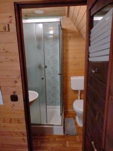 a bathroom with a shower and a toilet at Agroturystyka U BOŻENY in Przysłup +12 photos