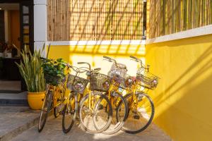 Ciclism la sau în apropiere de Ohana Hoian Villa