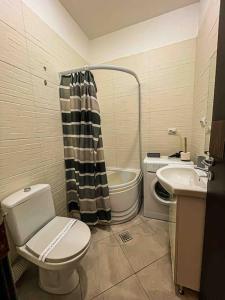 a bathroom with a toilet and a sink and a shower at Cazare Iasi Palas Apartment in Iaşi