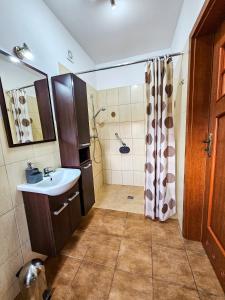 a bathroom with a sink and a shower at Domki U Tarnawy in Polanica-Zdrój