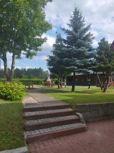 un conjunto de escaleras en un parque con árboles en Hotel Zdrojewo, en Nowe