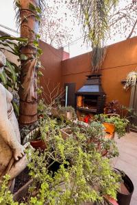 a group of plants in a garden with a fireplace at Casa MUKAU Buenos Aires in Buenos Aires