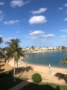 a beach with palm trees and a body of water at شاليه ثلاث غرف نوم في درة العروس in Durat  Alarous