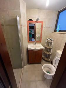 a bathroom with a toilet and a sink and a mirror at סוויטה במושב פסטורלי רומנטי ושקט in Gannot Hadar