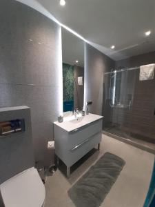 a bathroom with a sink and a shower and a toilet at Apartamenty "PRZY KATEDRZE" GORZÓW - lustrzany in Gorzów Wielkopolski