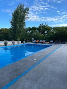 a large swimming pool with lounge chairs in a yard at Hotel La Castellana in Paysandú