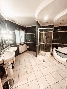 a bathroom with a shower and a sink and a tub at Pensiunea Curtea Bavareza in Târgu-Mureş