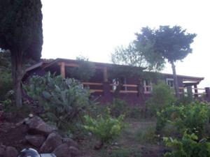 A garden outside Villa Veronica