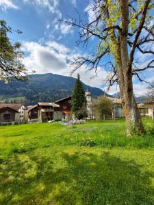 Příroda nedaleko penzionu – hostince