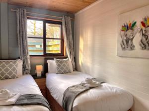 a bedroom with two twin beds and a window at Goldcrest 1-Hot Tub-Woodland Lodges-Carmarthenshire-Tenby in Carmarthen