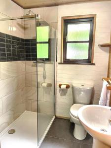 a bathroom with a shower and a toilet and a sink at Goldcrest 1-Hot Tub-Woodland Lodges-Carmarthenshire-Tenby in Carmarthen +4 photos