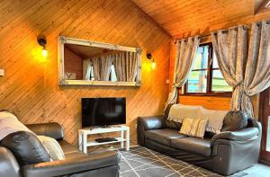 a living room with a couch and a tv at Goldcrest 1-Hot Tub-Woodland Lodges-Carmarthenshire-Tenby in Carmarthen