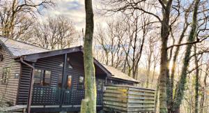 eine Blockhütte im Wald mit Bäumen in der Unterkunft Goldcrest 1-Hot Tub-Woodland Lodges-Carmarthenshire-Tenby in Carmarthen