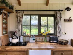 a kitchen with a counter top and a window at Rushford Shepherd's Hut in Newton Abbot