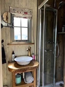 La salle de bains est pourvue d'un lavabo et d'une douche en verre. dans l'établissement Rushford Shepherd's Hut, à Newton Abbot