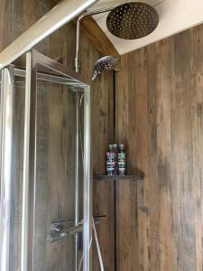 a shower in a bathroom with wooden walls at Rushford Shepherd's Hut in Newton Abbot