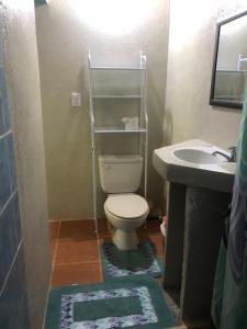 a bathroom with a toilet and a sink at CABINA EL MANU in Golfito