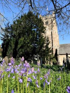 un champ de fleurs violettes devant une église dans l'établissement Rushford Shepherd's Hut, à Newton Abbot