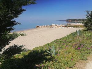 a sandy beach with pink flowers on it at Porto Almira Studio in Nikiti