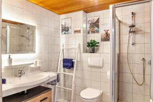 a bathroom with a shower and a toilet and a sink at Ferienwohnung Zugspitze in Farchant