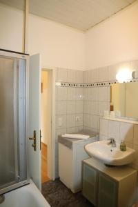 La salle de bains blanche est pourvue d'un lavabo et d'une douche. dans l'établissement Ferienwohnungen am Großen Garten, à Dresde