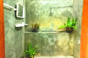 ヒッカドゥワにあるMount Rest Villaの鉢植えの植物が棚に並ぶバスルーム