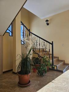 Φωτογραφία από το άλμπουμ του DISCOVER KAZBEGi HOTEL σε Kazbegi