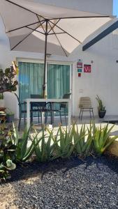 une terrasse avec une table et un parasol dans l'établissement Corralejo Suite Pool & Gardens - Alisios Playa, à Corralejo