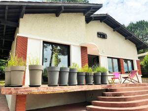 eine Reihe von Topfpflanzen auf einer Veranda in der Unterkunft PINSONS maison familiale proche plage in Pyla-sur-Mer