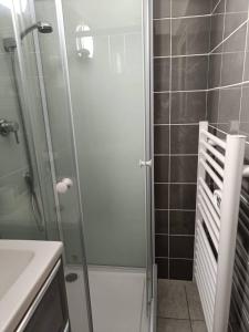 uma casa de banho com um chuveiro e um lavatório. em BEAU SOLEIL em Amélie-les-Bains-Palalda