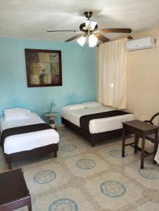 梅里達的住宿－拉卡薩德爾旅館，一间卧室配有两张床和吊扇