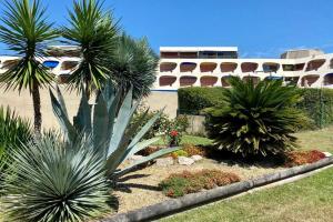 a courtyard with palm trees and a building at Le Port Camargue- 2 bedrooms and air-conditioned ! in Le Grau-du-Roi