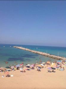 Naturlandskabet i nærheden af lejligheden