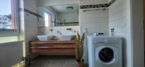 ein Badezimmer mit einer Waschmaschine und einem Waschbecken in der Unterkunft Dachsteinblick by Alpendyll Apartments in Haus im Ennstal