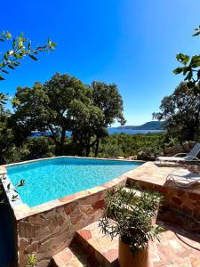 a large swimming pool in a yard with trees at Kallinera in Porto-Vecchio