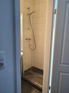 een douche in een badkamer met een glazen deur bij Goldfisch-1-Person in Brunsbüttel