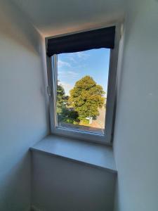 een raam in een kamer met uitzicht op een boom bij Goldfisch-1-Person in Brunsbüttel