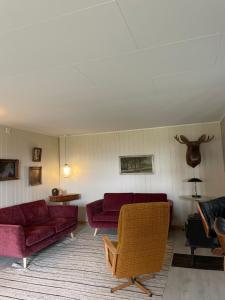 una sala de estar con 2 sofás morados y una silla en Spacious apartment in beautiful Norway countryside close to trondheim fjord, 